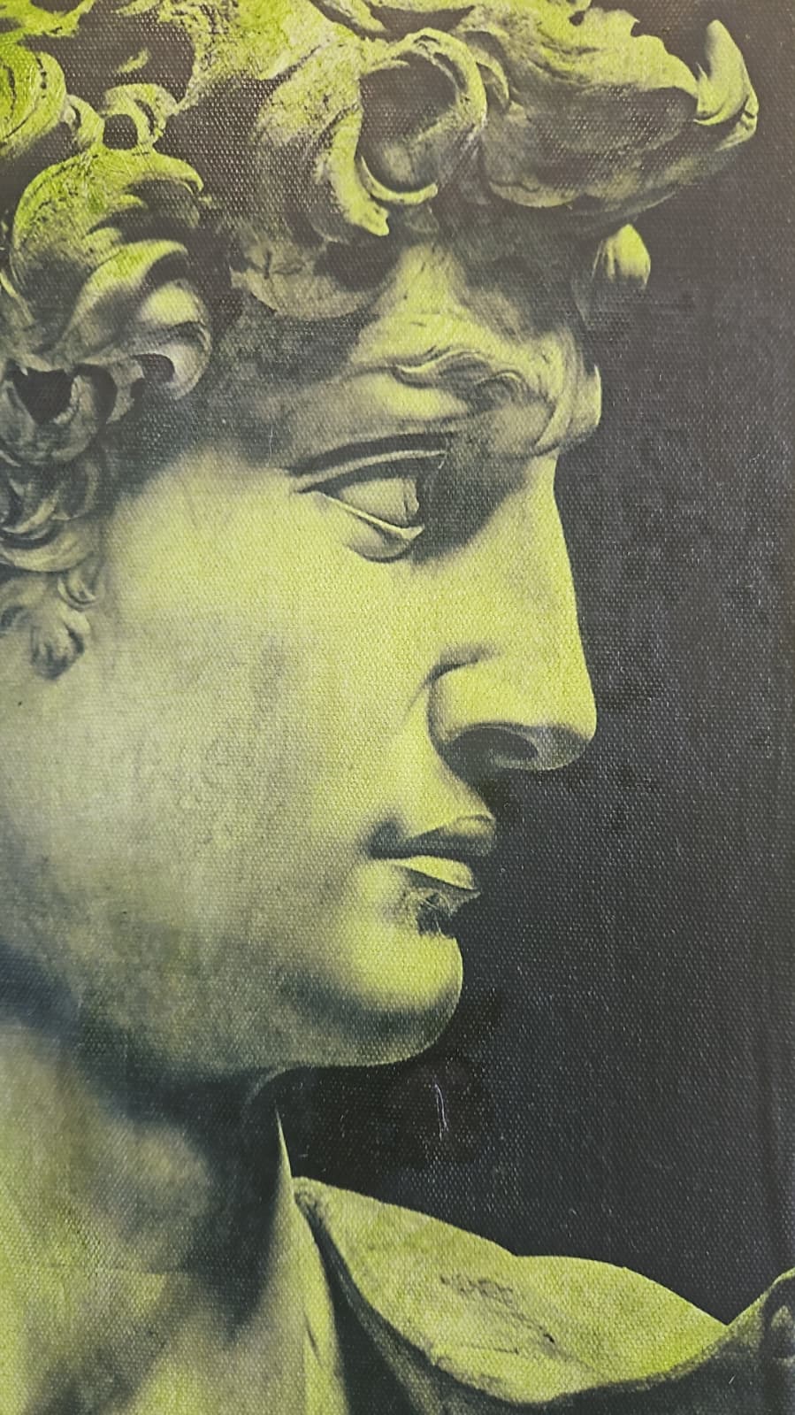 DAVID - Image 2